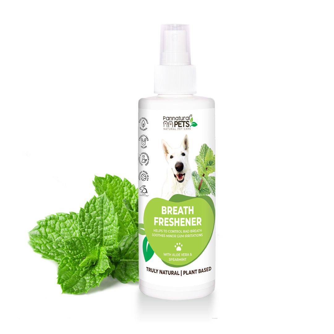 Breath Freshener