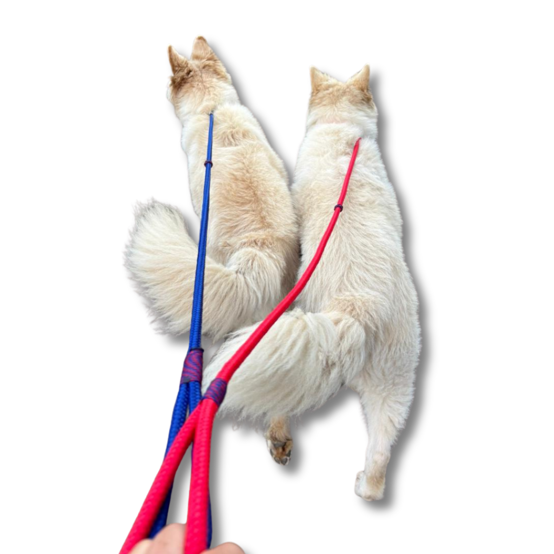 Rope Slip Leads